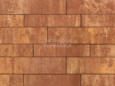 Тротуарная плитка BRAER Домино, Color Mix Каньон