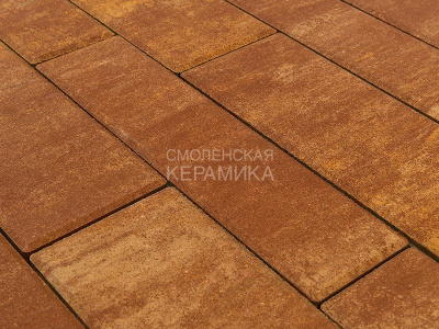 Тротуарная плитка BRAER Домино, Color Mix Каньон